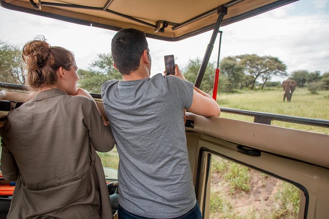 6 Days - Best of Nothern Parks Safari - The “best of” feeling, without the wasted days