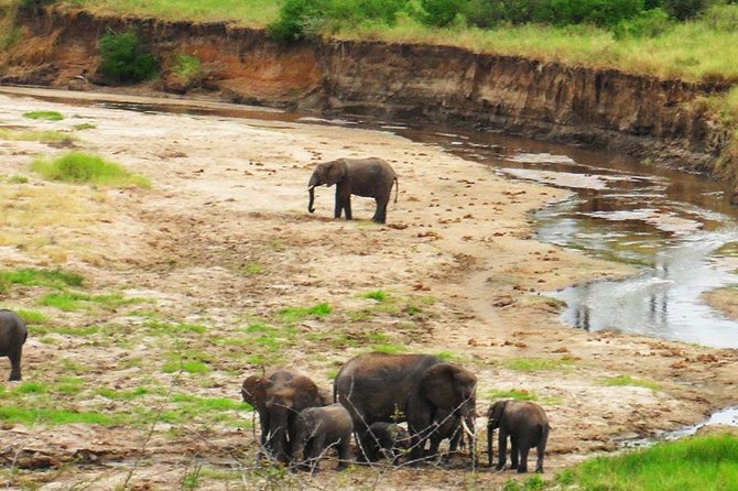6 Days - Best of Nothern Parks Safari - Entering The Route: How the 6 Days connect smoothly