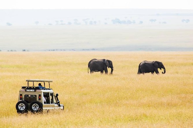 6 Days Budget Tanzania Camping Safari - Why this 6-day budget camping safari feels different