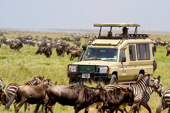 6 Days Budget Tanzania Camping Safari - Tarangire National Park: best for variety and campable mornings