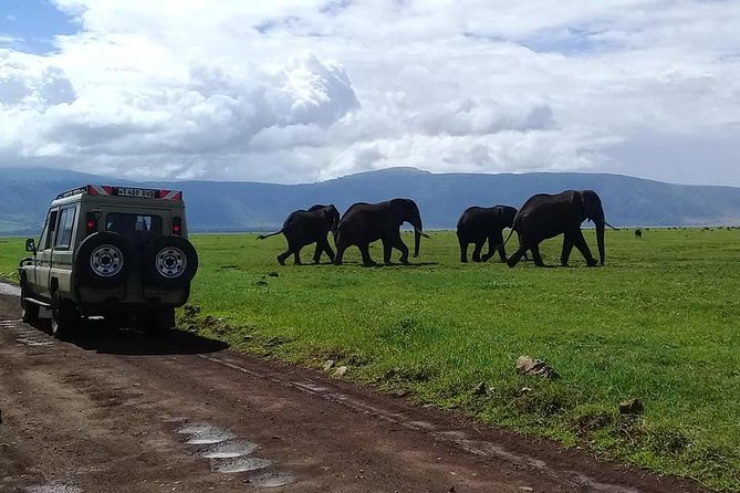 6 Days Budget Tanzania Camping Safari - Serengeti: sunset timing plus long game-drive days