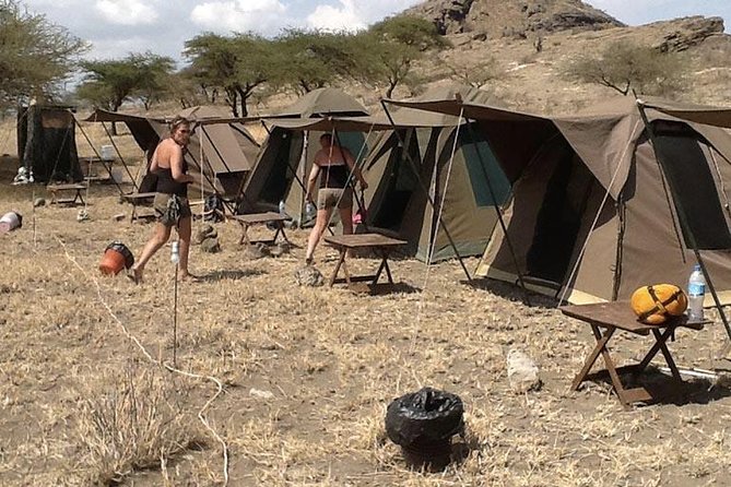 6 Days Budget Tanzania Camping Safari - What camping comfort actually means here