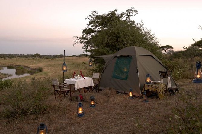 6 Days Budget Tanzania Camping Safari - Transport in a rooftop-open 4x4, and why that changes the game
