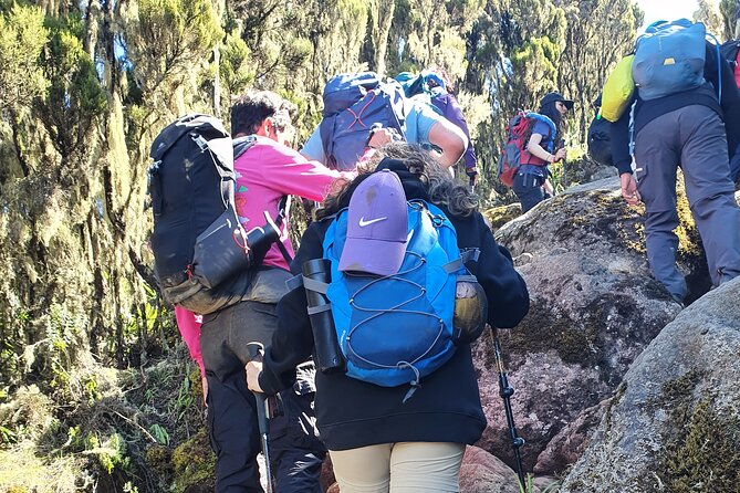 6 Days Climbing Mount Kilimanjaro Machame Route - Day 5 Uhuru Peak at sunrise, then down to Mweka Camp
