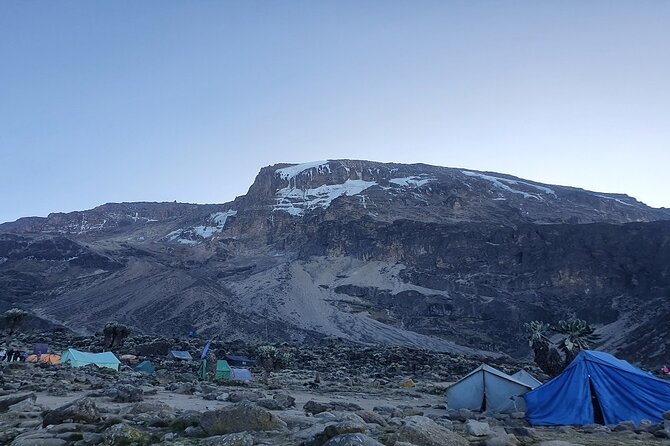 6 Days Climbing Mount Kilimanjaro Machame Route - Day 6 descent to Mweka Gate, certificates, and forest miles