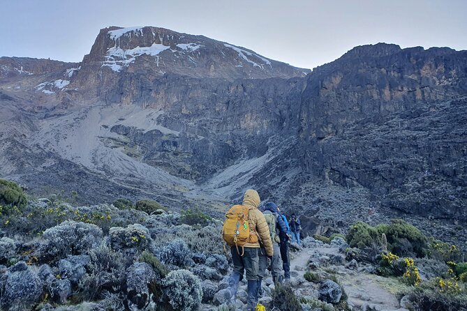 6 Days Climbing Mount Kilimanjaro Machame Route - Day 3 Shira Camp to Barranco Camp, the Lava Tower moment