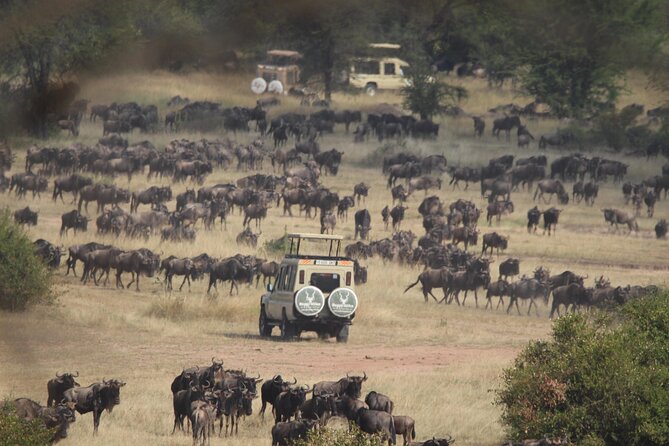 6 Days Enchanting Tanzania Safaris - Mid Range Safari - Value and Price: What $2,887.83 Really Buys