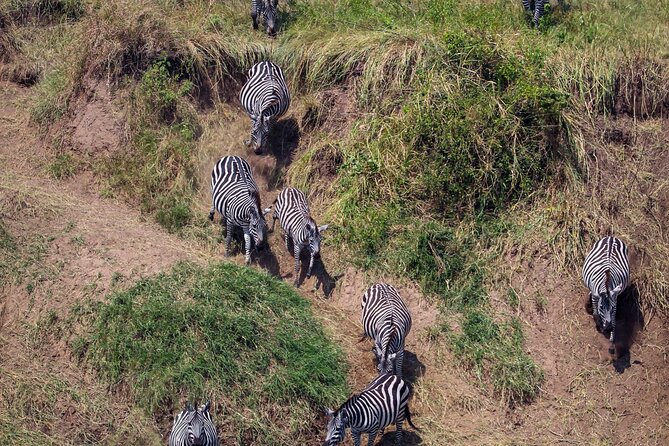 6 Days Enchanting Tanzania Safaris - Mid Range Safari - Serengeti National Park: Seronera’s Water, Rolling Plains, and a Full Day Drive