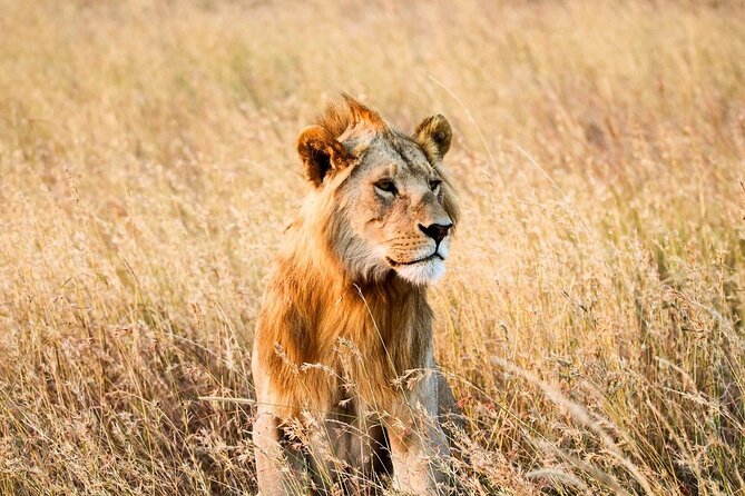 6 Days Enchanting Tanzania Safaris - Mid Range Safari - Tarangire National Park: The Water Magnet for Elephants, Kudu, and Starlings