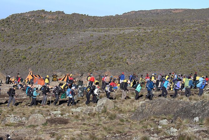 6 Days: Hiking Kilimanjaro via Machame Route - Summit night to Uhuru Peak: the cold push you will remember