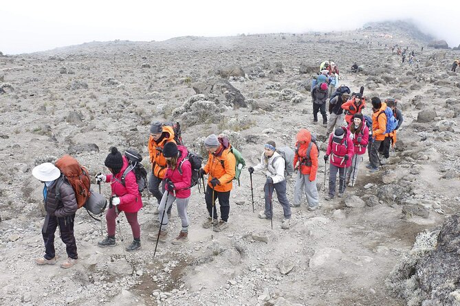 6 Days: Hiking Kilimanjaro via Machame Route - Day 6: gentle rainforest descent, celebration at Mweka Gate