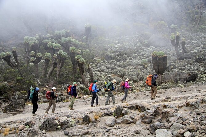 6 Days: Hiking Kilimanjaro via Machame Route - What the Mountain Warriors crew does well, especially under stress