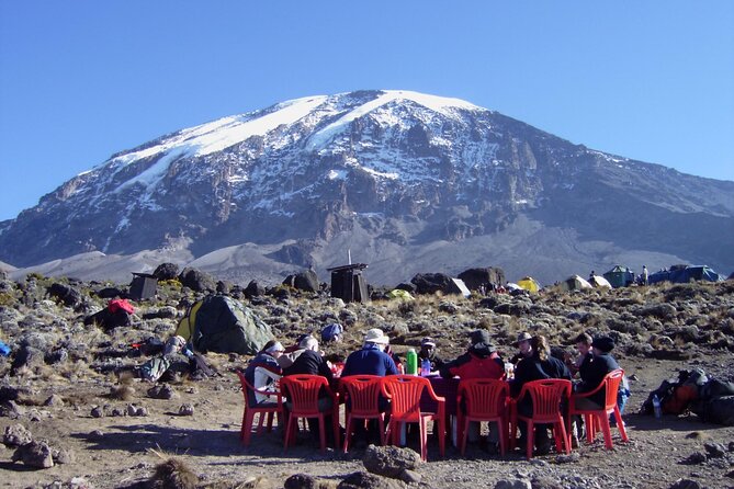 6 Days: Hiking Kilimanjaro via Machame Route - Day 2: leaving rainforest and heading for Shira Hut campsite