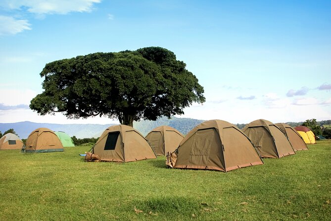 6 Days in the Wild – A Budget Safari Across Tanzania’s Icons - Key highlights worth knowing before you go