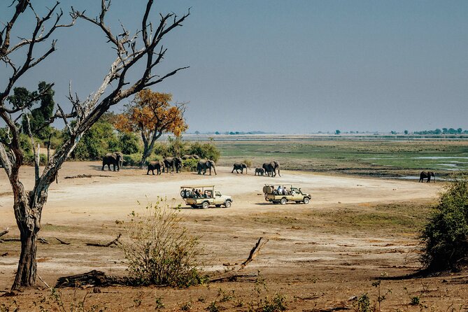 6 Days in the Wild – A Budget Safari Across Tanzania’s Icons - Day 5 at Lake Manyara: tree-climbing lions and birdwatcher heaven