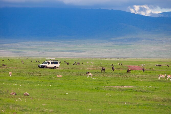 6 Days in the Wild – A Budget Safari Across Tanzania’s Icons - Day 6 reset day: Chemka Hot Springs and Materuni waterfalls and Chagga lunch