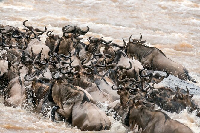 6 Days in the Wild – A Budget Safari Across Tanzania’s Icons - Price and value: $1,300 that tries to cover the big costs