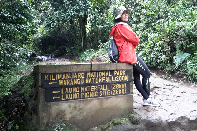 6 Days Kilimanjaro climb - Marangu route - Day 1: Rain forest climb to Mandara Hut (6,046 ft to 8,858 ft)