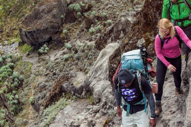 6 Days Kilimanjaro climb - Marangu route - Meals, permits, and why private pricing can still feel fair