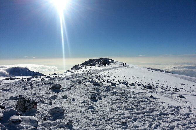 6 Days Kilimanjaro climbing | Hiking Tour via the Rongai Route - Meeting point in Moshi and how you get to the trail