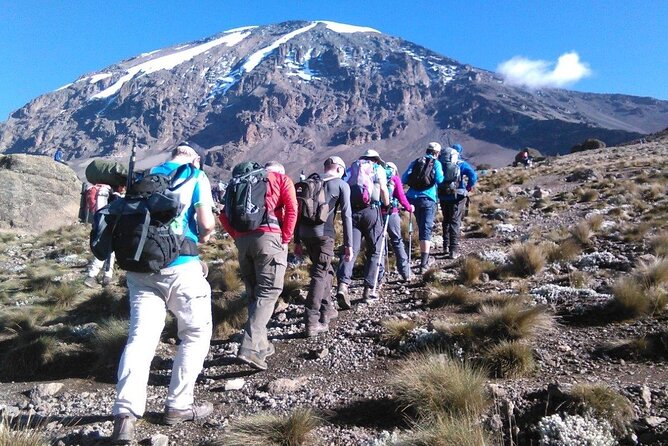 6 Days Kilimanjaro Climbing Machame route - Day-by-Day: What Happens on Each Section and Why It Matters