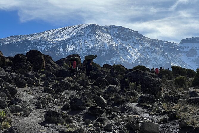 6 Days Kilimanjaro Climbing Marangu Route - Why Marangu’s hut system is a big deal on Kilimanjaro