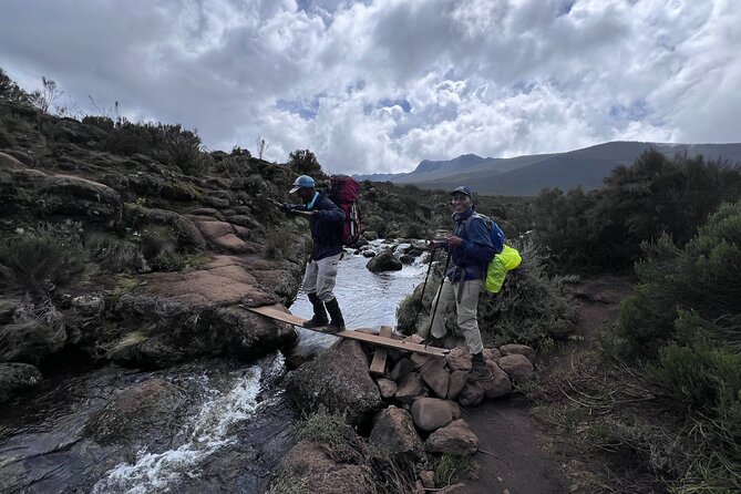 6 Days Kilimanjaro Climbing Marangu Route - From rainforest to Horombo, giant lobelias, and Mawenzi views
