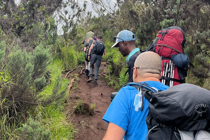 6 Days Kilimanjaro Climbing Marangu Route - Moshi start, park gate permits, and the muddy rainforest reality