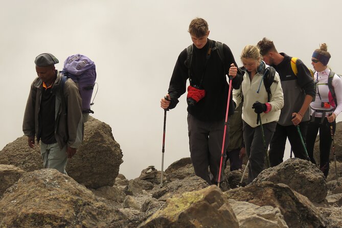 6 Days Kilimanjaro Lemosho route Climbing and Hiking Tour - Key highlights you should care about