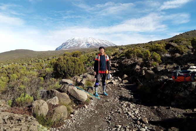 6 Days Kilimanjaro Lemosho route Climbing and Hiking Tour - Day 5: Midnight summit hike, Stella Point rim views, and Uhuru Peak