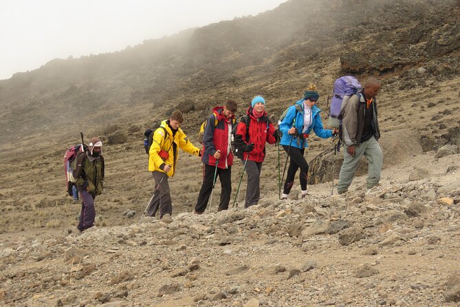 6 Days Kilimanjaro Lemosho route Climbing and Hiking Tour - Day 6: Mweka Gate certificate, rainforest descent, and Moshi by car