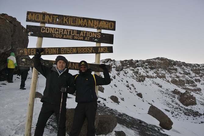 6 Days Kilimanjaro Lemosho route Climbing and Hiking Tour - Day 1: Moshi pickup, Lemosho Gate, and Big Tree Camp forests