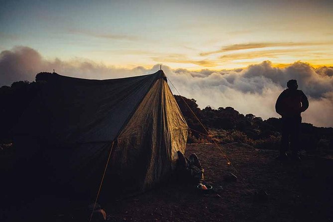 6 Days Kilimanjaro Trekking - Machame Route - Machame Kusini to Shira: the route that teaches you patience