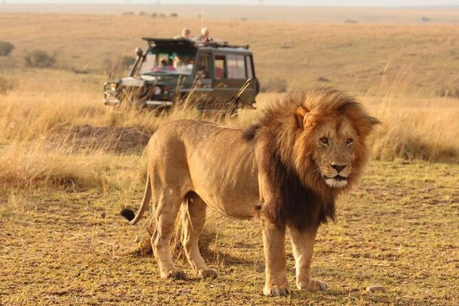 6 Days lodge &camping tour Serengeti ,Tarangire ,Ngorongoro Crater and Manyara - Key highlights worth knowing