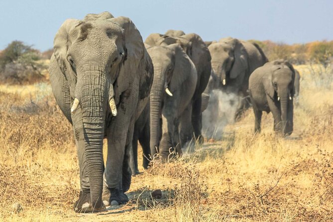 6 Days Lodge & Tented Camp Luxury - The Serengeti Trail & Tarangire - Lodge luxury meets tented-camp romance at night
