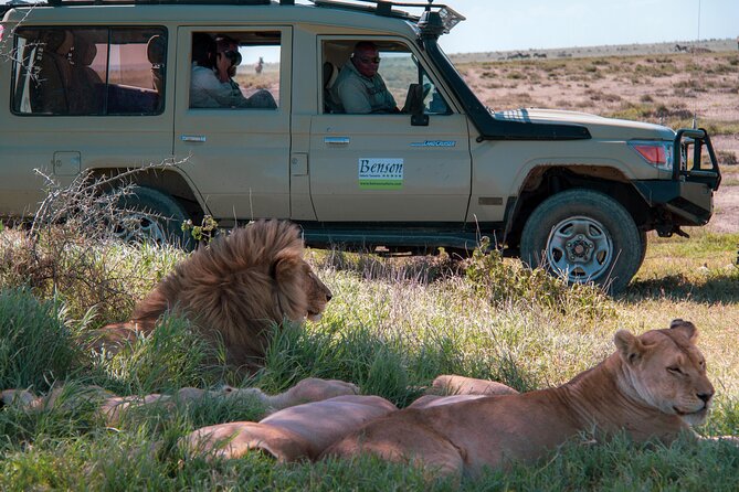 6 Days Lodge & Tented Camp Luxury - The Serengeti Trail & Tarangire - The road to Serengeti: Ngorongoro Conservation Area into the big plains