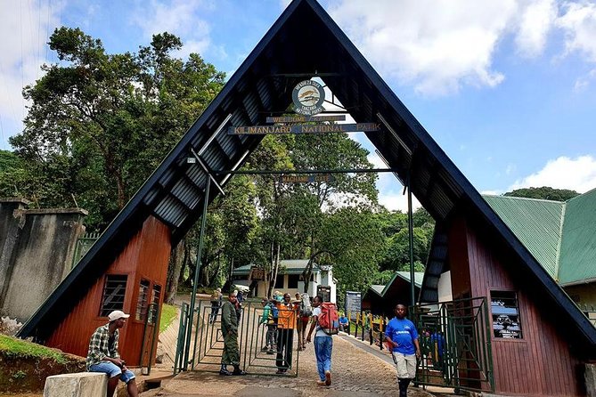 6 Days Machame Route Hike - Day 1: From Moshi to Machame Gate and into the rainforest climb
