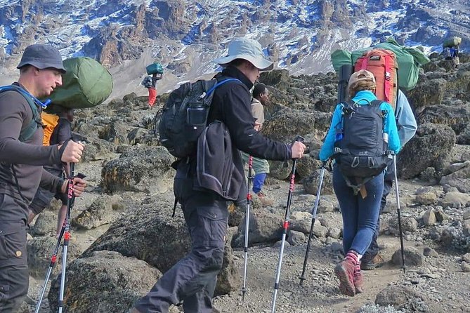 6 Days Machame Route Hike - Near the top and then back down: descending on the Mweka trail