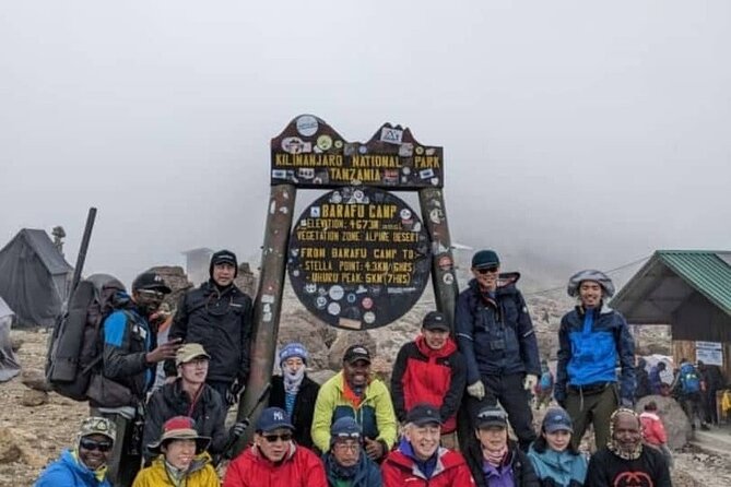 6 Days Machame Route Kilimanjaro Climbing Trekking Tour - Uhuru Peak summit night: Stella point break, sunrise reward, then back down