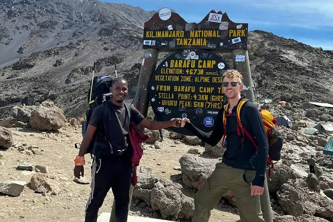 6 Days Machame Route Kilimanjaro Climbing Trekking Tour - Day 2 from Shira Cave Camp: rainforest fade, rocky ridge time