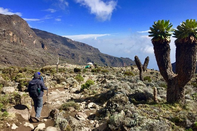 6 Days Machame Route Kilimanjaro Trekking - Moshi to the Park Gate: The Smooth Start That Sets the Tone