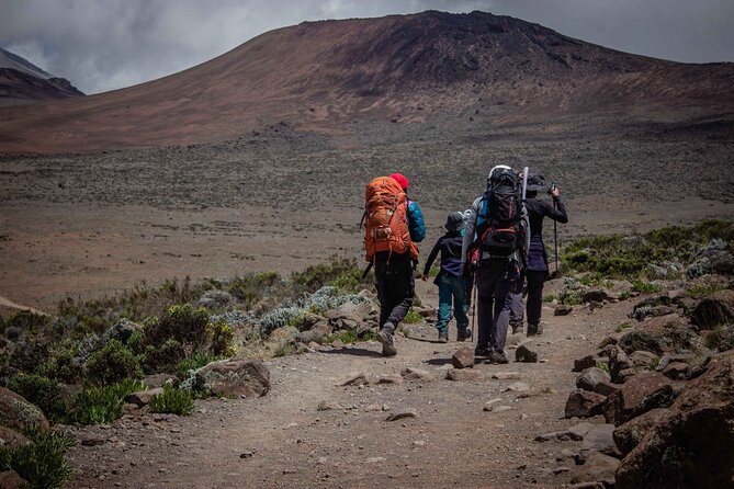 6 Days MARANGU ROUTE (Kilimanjaro Trekk) - Kilimanjaro from Moshi, with Marangu’s hut-and-tent rhythm