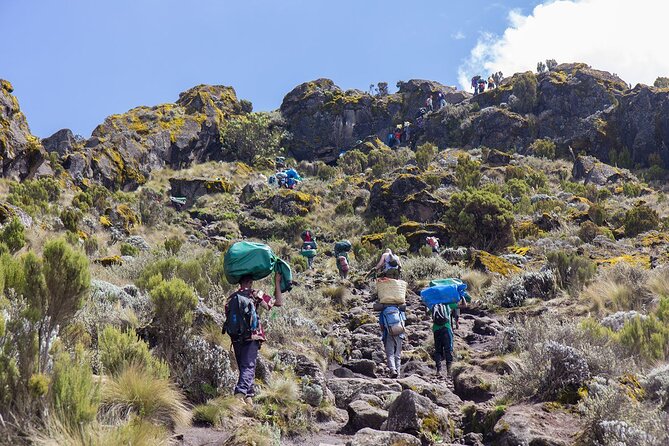 6 Days MARANGU ROUTE (Kilimanjaro Trekk) - Day 2: rainforest fades into heathland, and Mawenzi shows up