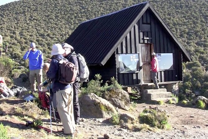 6 Days MARANGU ROUTE (Kilimanjaro Trekk) - Day 4: into alpine desert and toward Kibo Hut