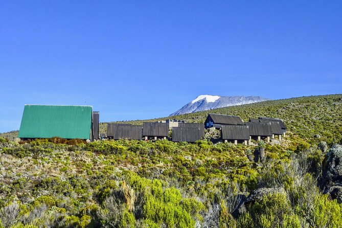 6 Days MARANGU ROUTE (Kilimanjaro Trekk) - Day 5: summit attempt to Uhuru Peak before sunrise, then down to regroup