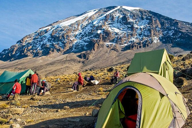 6 Days MARANGU ROUTE (Kilimanjaro Trekk) - Day 6: descent back to Marangu Gate, certificates and final views