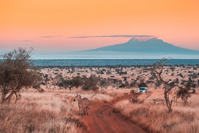 6 Days Mount Kilimanjaro Climbing via Rongai Route - Key Things That Make This Kilimanjaro Trip Work