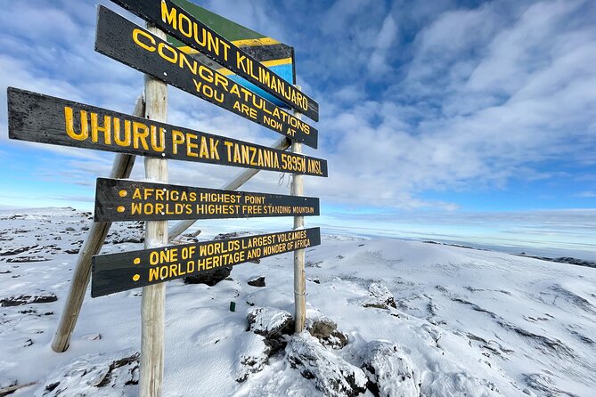 6 Days Mount Kilimanjaro Climbing via Rongai Route - The Rongai Route From Moshi: Why This Approach Appeals