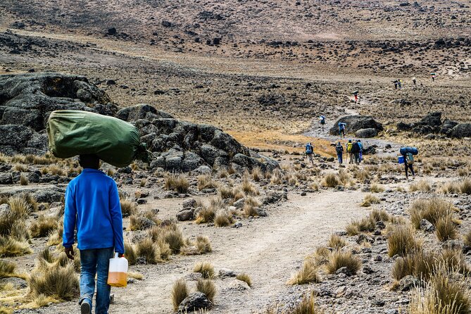 6 Days Mount Kilimanjaro Climbing via Rongai Route - Day 3: Semi-Desert Terrain and Staying Honest About Altitude