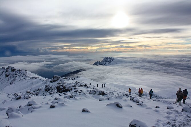 6 Days Mount Kilimanjaro Climbing via Rongai Route - Day 6: Descent to Mandara Huts, Summit Certificates, and Mudy Legs